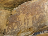 Hidden petroglyphs in the lower canyon
